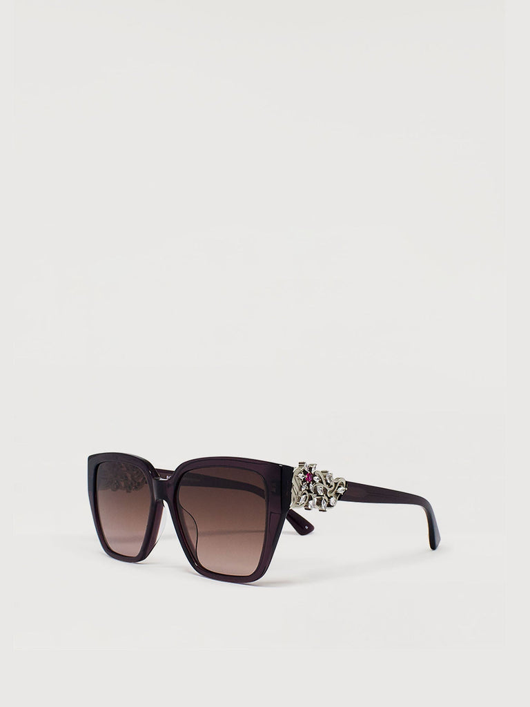 Astria Acetate Women's Sunglasses - BONIA