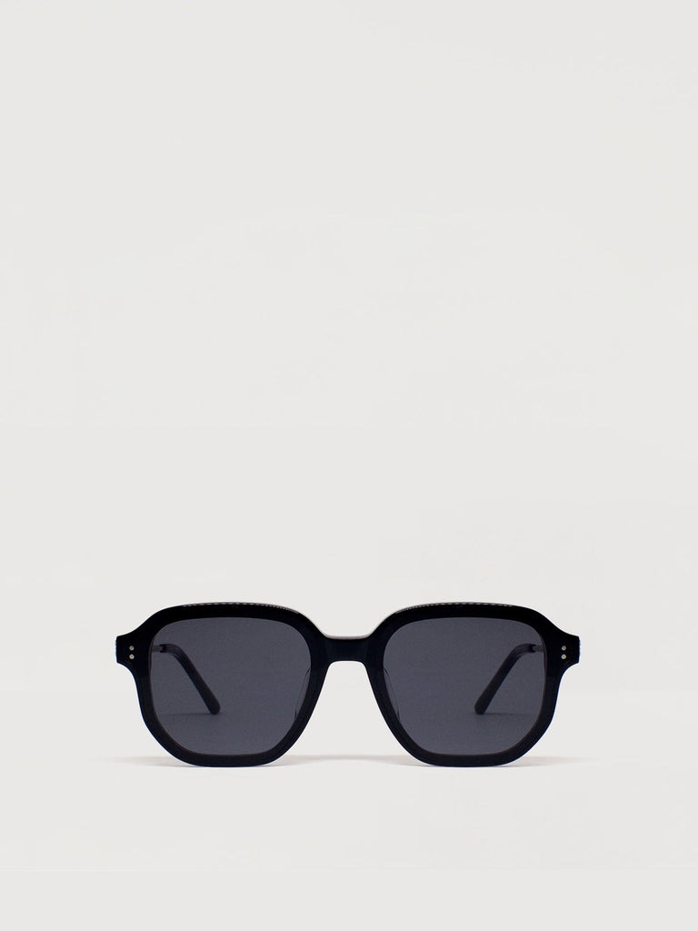 Elea Acetate & Metal Women's Sunglasses - BONIA